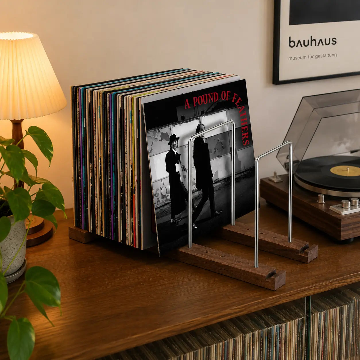 Walnut Vinyl Record Holder for 75 LPs