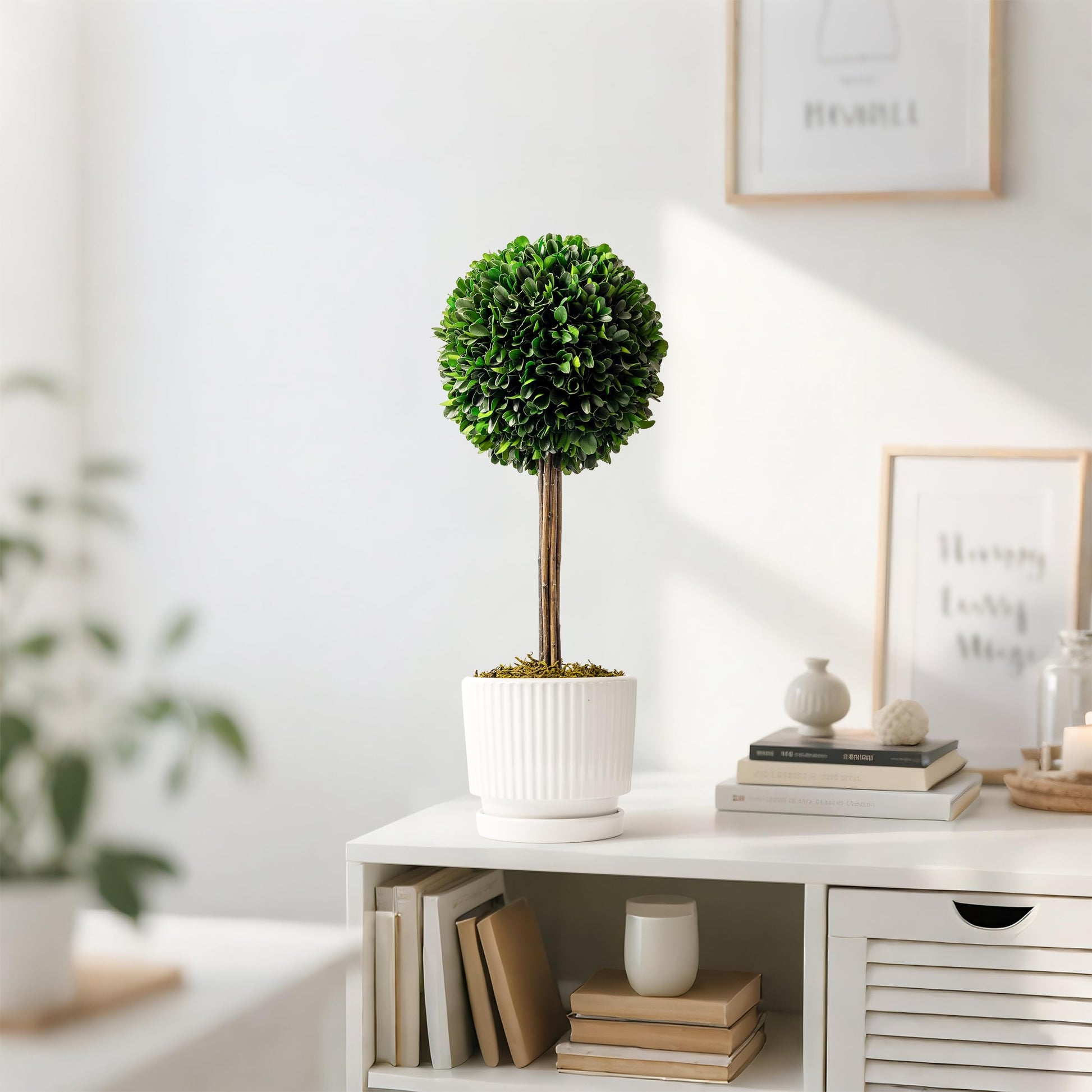 An artificial boxwood topiary tree with a round green ball on a natural wooden trunk, placed in a white ridged ceramic pot. The tree is displayed on a white console table in a brightly lit, modern living room setup with books, candles, and framed wall art in the background.