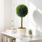 A 20-inch tall artificial boxwood topiary tree with a round green foliage ball on a wooden trunk, shown with dimension markings: 20" total height, 5" pot height, and 5.5" pot diameter. The tree is in a white ridged ceramic planter on a white shelf next to a smaller potted succulent.