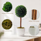 An infographic image of the Woodronic artificial boxwood topiary tree, highlighting four product features with circular close-ups and text labels: "Preserved Real Leaves" showing the dense greenery, "Lifelike Trunk Design" detailing the natural wooden texture, "Natural Dried Moss" at the base, and "Sturdy Ceramic Pot" showcasing the white ridged planter.