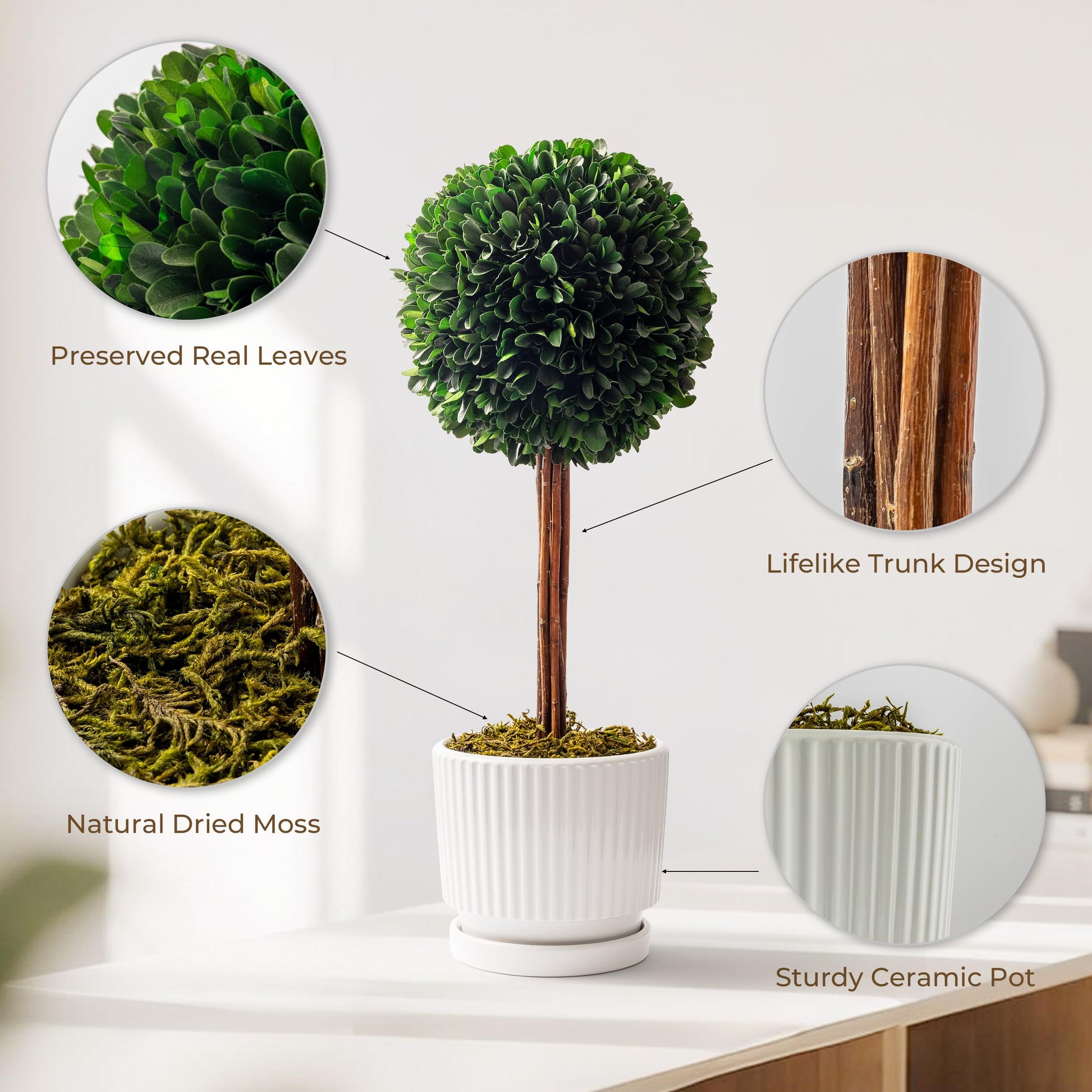 An infographic image of the Woodronic artificial boxwood topiary tree, highlighting four product features with circular close-ups and text labels: "Preserved Real Leaves" showing the dense greenery, "Lifelike Trunk Design" detailing the natural wooden texture, "Natural Dried Moss" at the base, and "Sturdy Ceramic Pot" showcasing the white ridged planter.