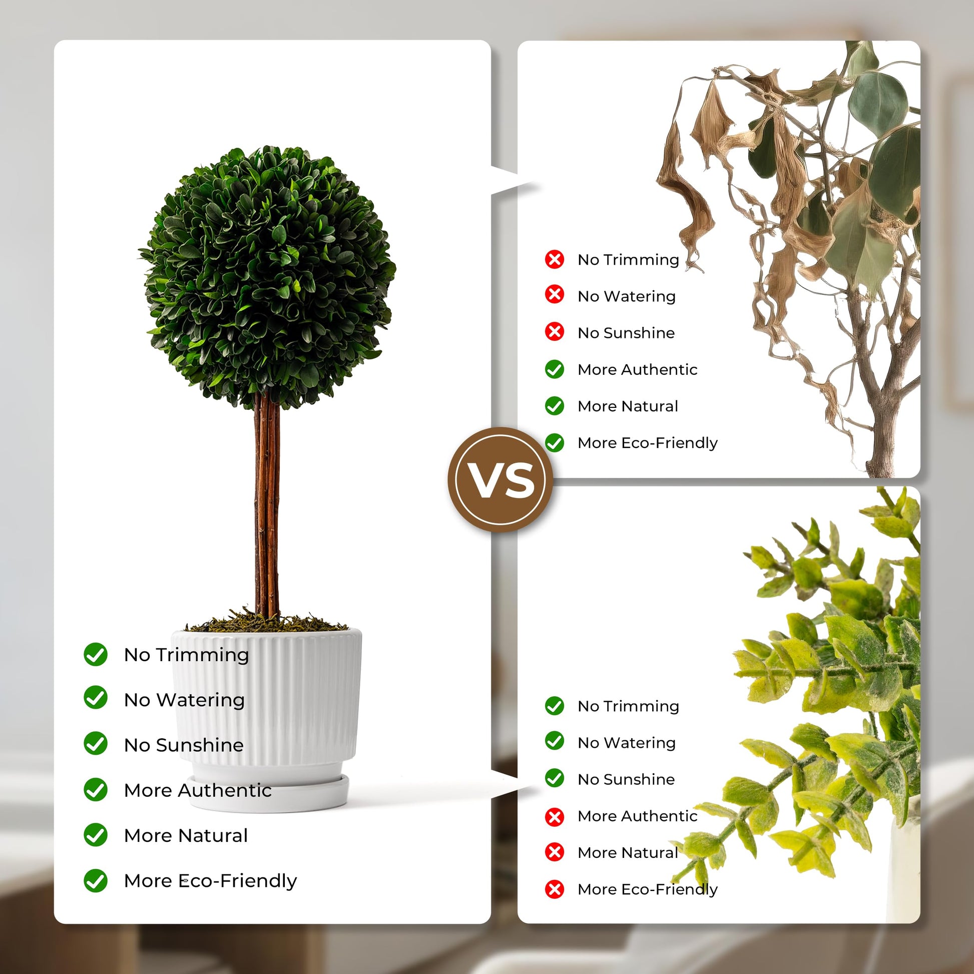 A product comparison infographic for the Woodronic artificial boxwood topiary tree versus two other plant types. On the left, the Woodronic tree checked all boxes: no trimming, no watering, no sunshine, more authentic, more natural, and more eco-friendly. On the right, it is compared with a dried-up real plant (fails authenticity/natural/eco-friendly without care) and a fake plastic plant (fails authenticity/natural/eco-friendly textures).